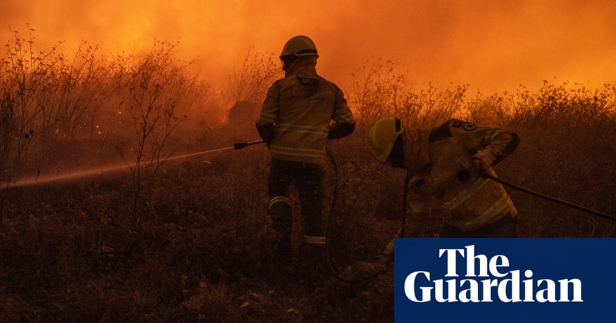 Funds to tackle Europe's forest fires poorly targeted, says EU watchdog