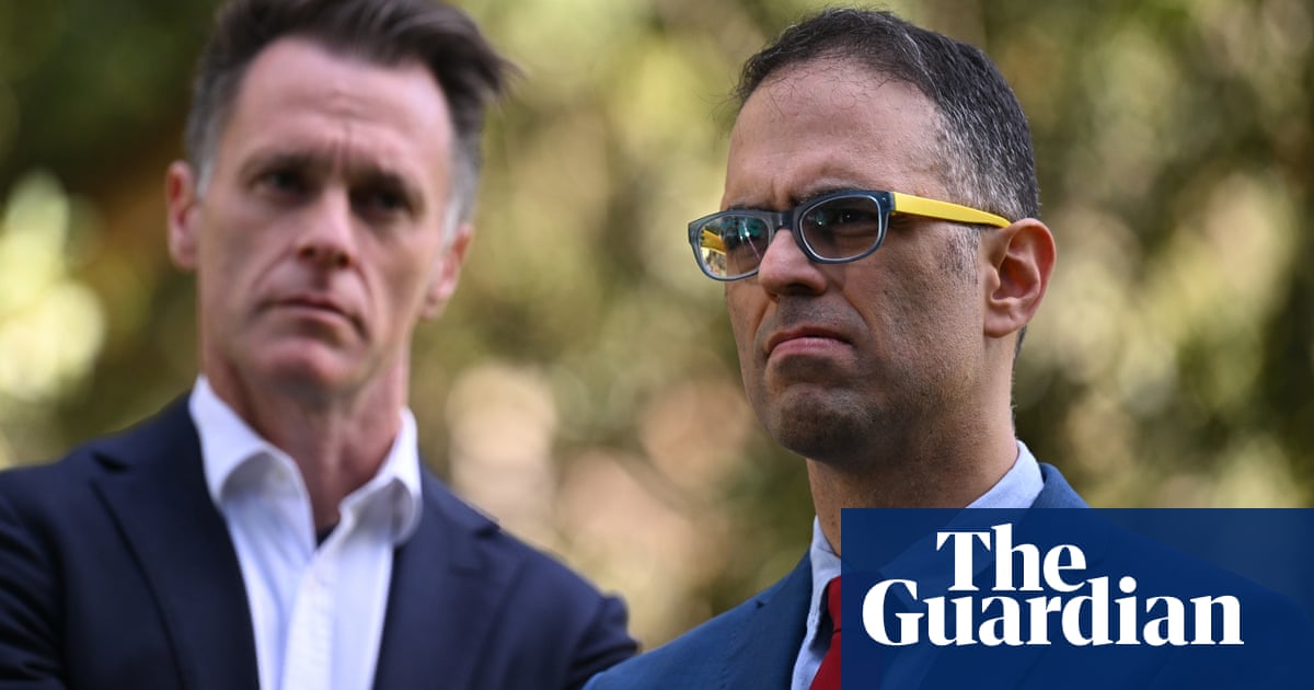 NSW budget unlikely to allocate extra funding for long-promised great koala national park | New South Wales politics NSW budget unlikely to allocate extra funding for long-promised great koala national park | New South Wales politics