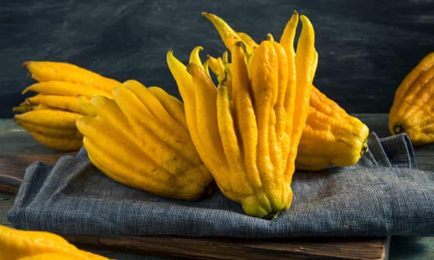 A Buddha’s hand citrus fruit, which is all peel and pith, but offers ‘pure zest’ for salads and cooking.