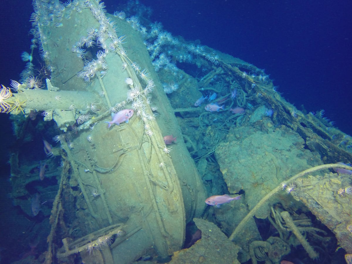 Brazil bans underwater exploring over fears discovery of shipwreck
