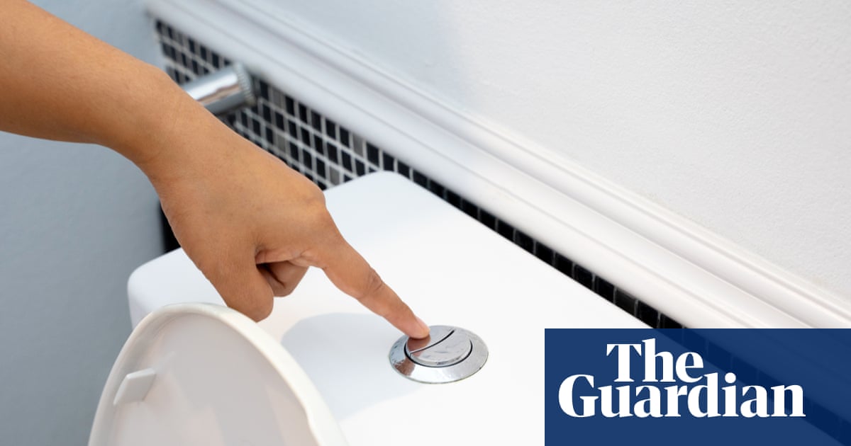Flushing the toilet can release a ‘plume’ of breathable pathogens – and closing the lid won’t stop their escape Flushing the toilet can release a ‘plume’ of breathable pathogens – and closing the lid won’t stop their escape