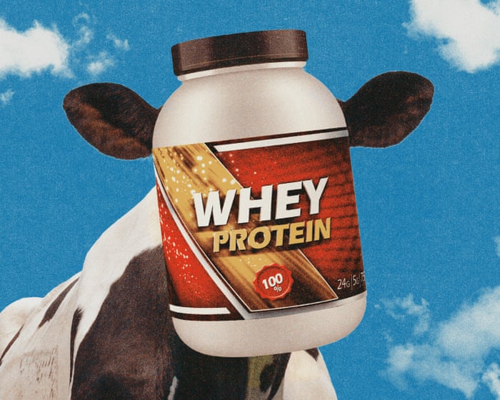 All the whey up! A dairy byproduct is now the star of the ‘proteinmaxxing’ boom – but is demand too high?