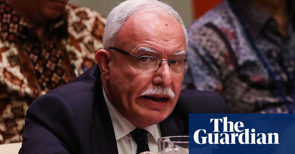 Don’t let Trump steer Middle East off cliff, Palestinians urge EU | World news | The Guardian