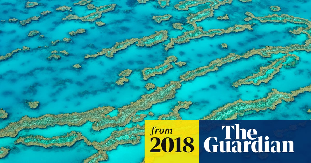 Whitsunday helicopter crash: two killed during Great Barrier Reef flight