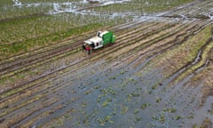 a combine harvester works in a flooded field