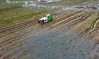 ‘Washout winter’ spells price rises for UK shoppers with key crops down by a fifth