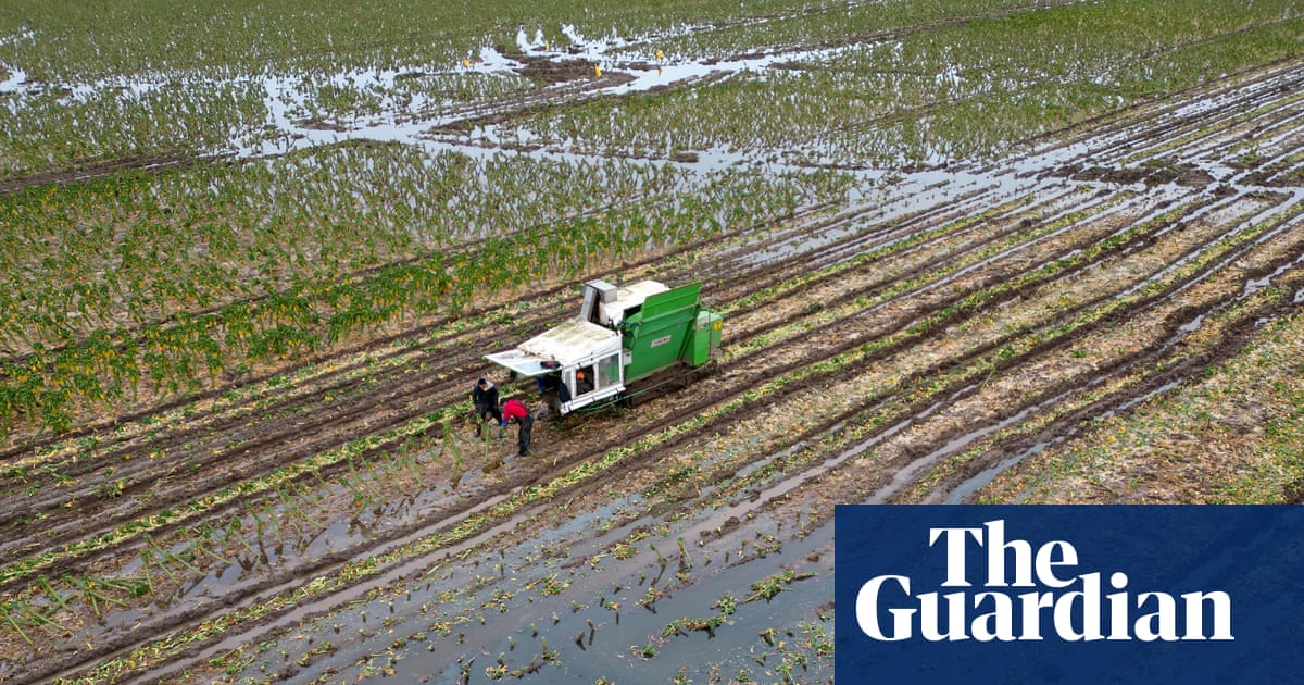 Biodiversity collapse threatens UK security, intelligence chiefs warn