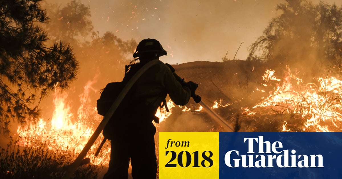 We have 12 years to limit climate change catastrophe, warns UN | Environment | The Guardian