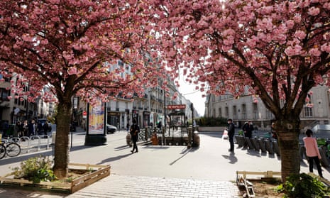 Cherry blossom trees outside a metro station in Paris. 