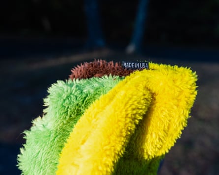 a close-up of a plush taco dog toy