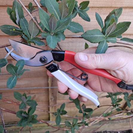 Okatsune 103 bypass Secateurs