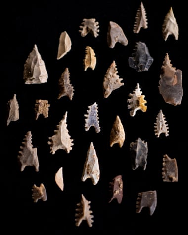 Toalean stone arrowheads