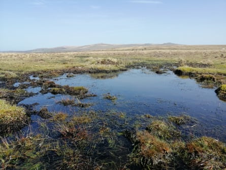 A spring pool on Dartmoor.