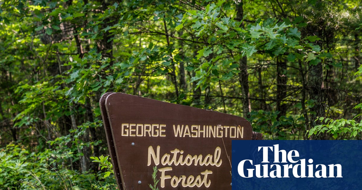 The administration’s bold new wildfire strategy: fewer forests, fewer fires, problem solved.