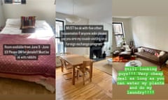 three side by side images of apartment photos that might be seen on social media, with captions advertising rooms with disclaimers like "must be ok with rabbits", "must be ok with five other housemates if anyone asks please say you are my cousin visiting on a foreign exchange program", "very cheap deal as long as you can water my plants and do my laundry"
