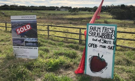 Two signs side by side: one for farm fresh strawberries the other for new properties.