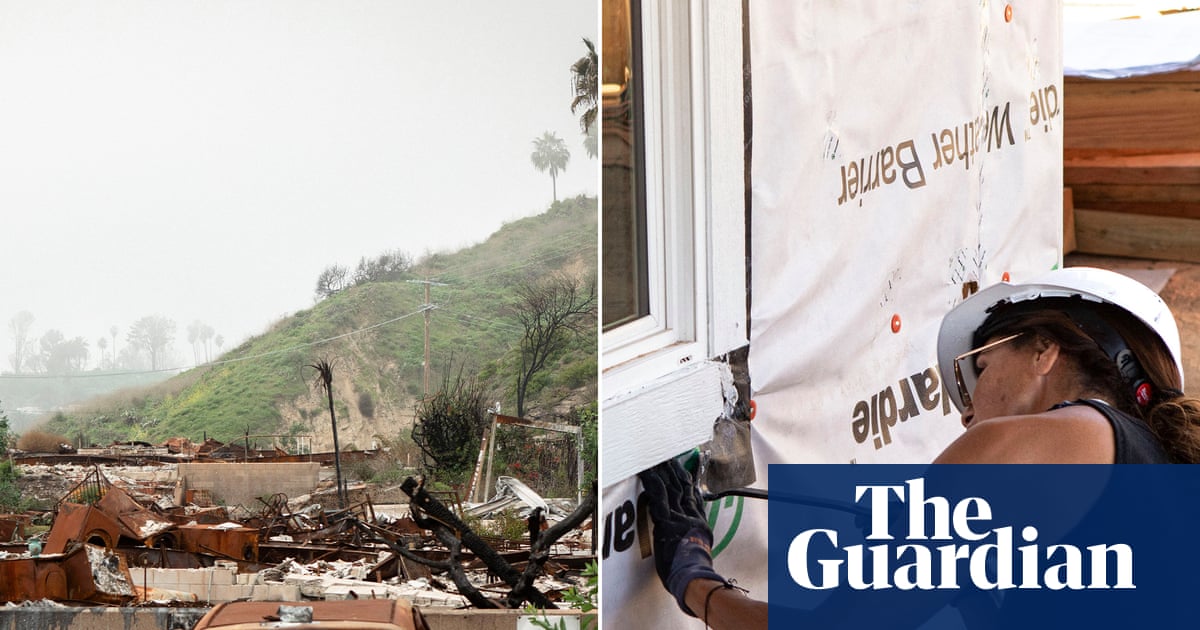 The Los Angeles wildfires were the perfect storm'. Is the city ready for the next one?