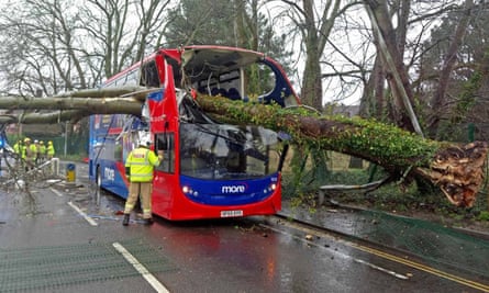 Emergency staff work on a bus which had a tree fall through its roof in Poole.
