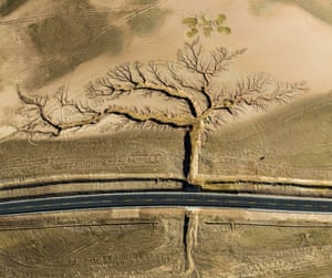 Branching outGrand prize winner. On either side of a highway, gullies formed by rainwater erosion span out like a tree in Tibet.
