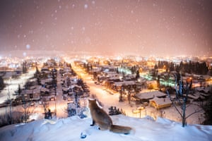 Storyboard – first place | Urban and Wild by Peter Mather A red fox looks over Whitehorse at night