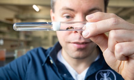 Martin Sebesta of Antstore.