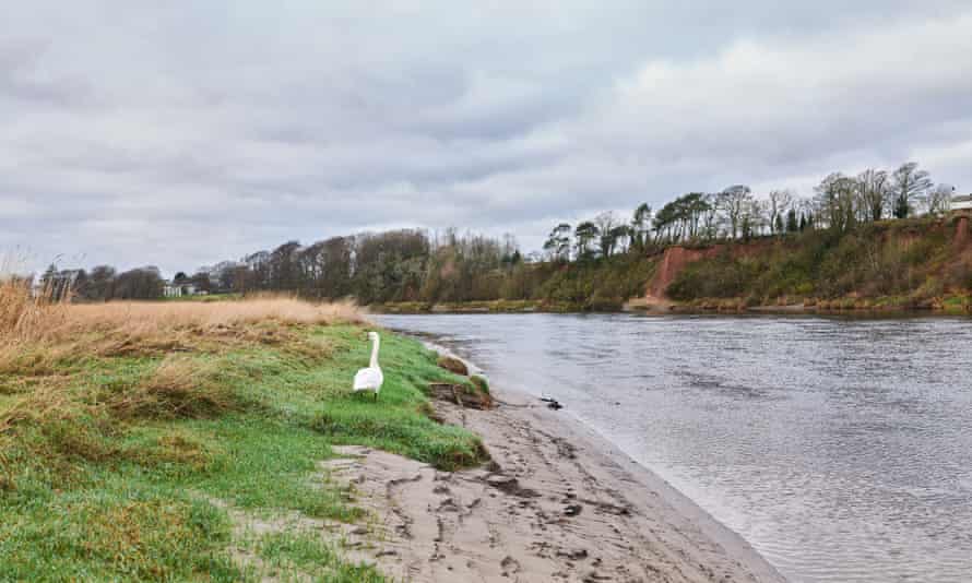 River bank and swam