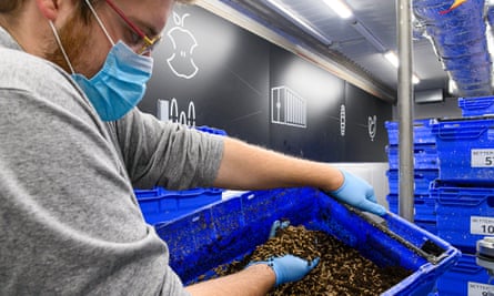 Inside the shipping container