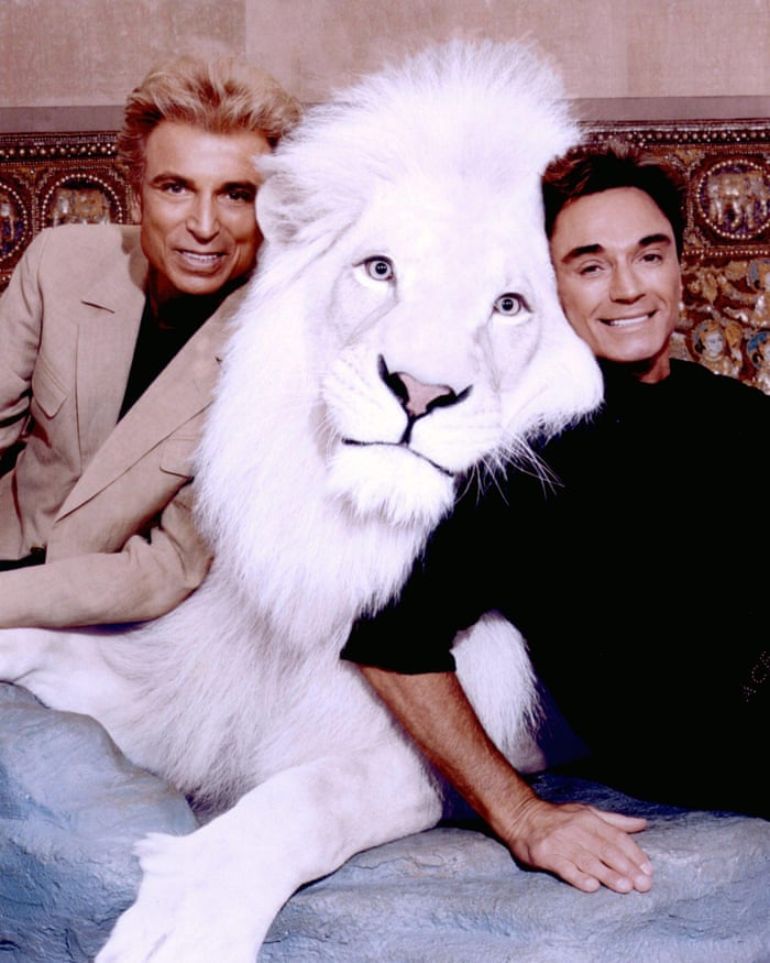 POLL: Should the inter-breeding of lions and tigers be banned? 1598