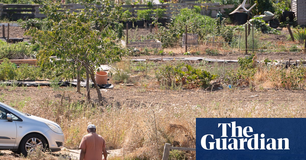 Watermelons in Bristol: how UK heatwaves are affecting growers