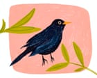 In the days after my mum died, a blackbird lingered like a messenger of solace | Mark Saunokonoko