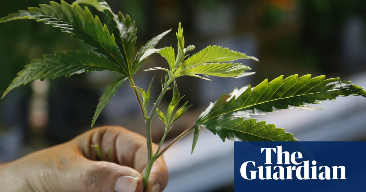 Oklahoma voters reject legalized recreational marijuana