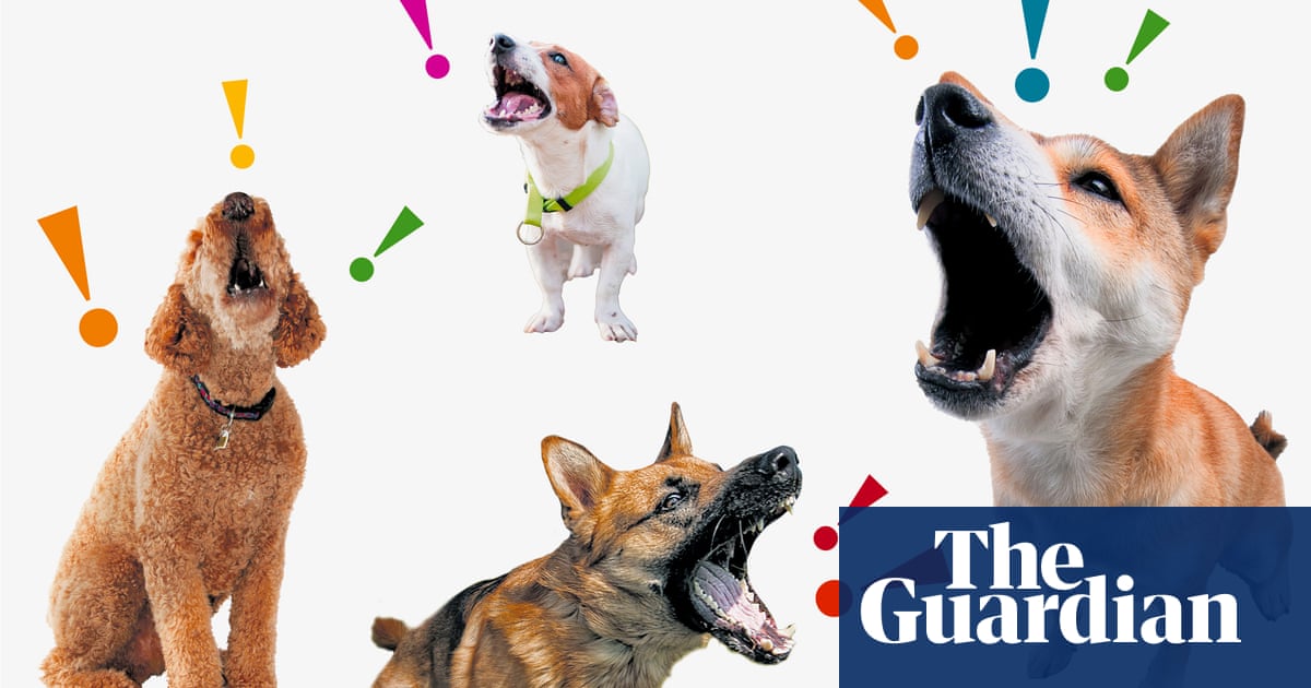 From yaps to howls: what your dog's bark means – and how to get them to  tone it down | Dogs | The Guardian