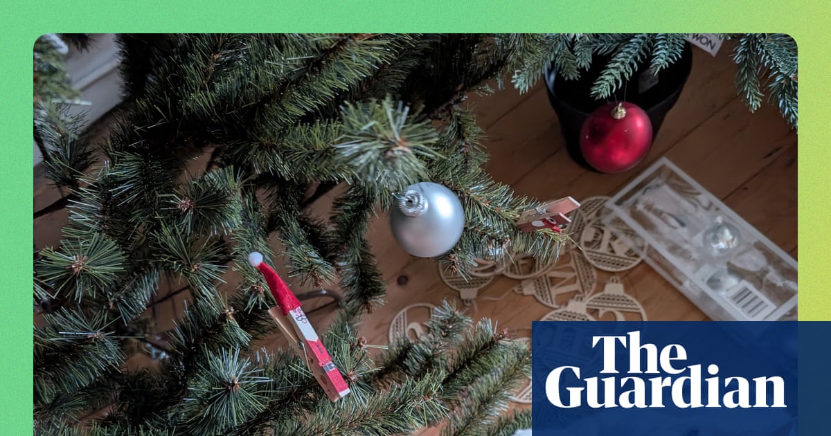 Appalled neighbours and delighted cats: testing a forest of artificial Christmas trees ... in October