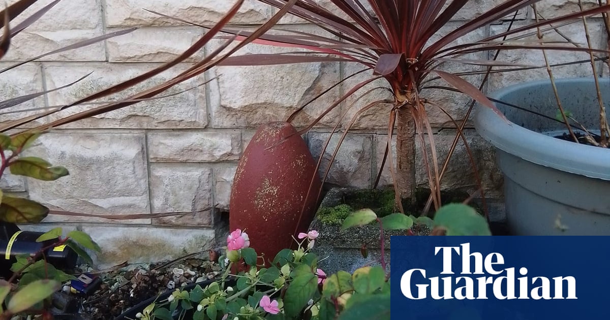 Welsh couple bereft after bomb squad detonate ornamental garden missile - The Guardian