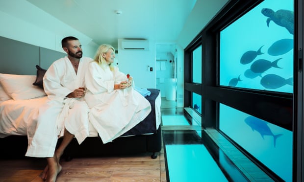 Hotel guests in bathrobes stare at a turtle and fish in a Reefsuites room on the Great Barrier Reef.