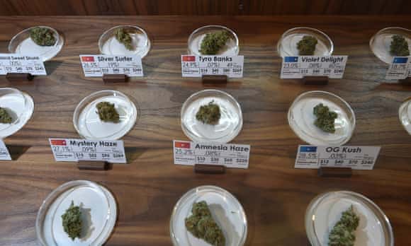 Cannabis samples on display at a dispensary in Portland, Oregon