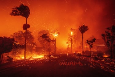 Palm trees burn in high winds either side of a road in front of an orange smoke-filled sky in the Palisades