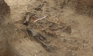 Along with an almost complete rhinoceros skeleton, showing clear signs of having been butchered, the team unearthed 57 stone tools at the Kalinga site.