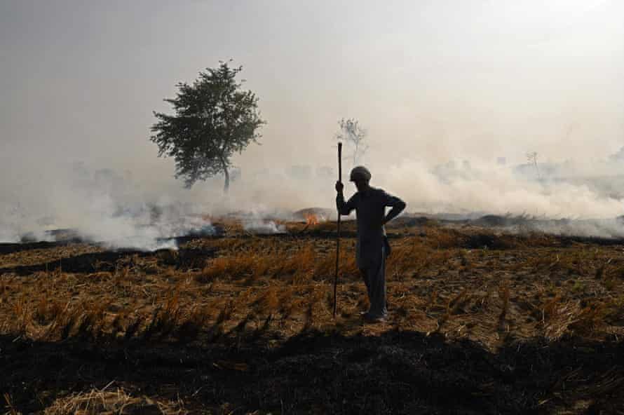 A farmer silhouetted against smoke rising from a burning field