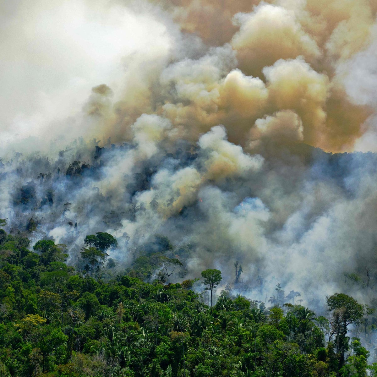 Amazon Rainforest Now Emitting More Co2 Than It Absorbs Amazon Rainforest The Guardian Amazon Rainforest Now Emitting More Co2 Than It Absorbs Amazon Rainforest The Guardian