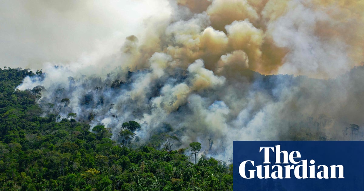 Amazon rainforest now emitting more CO2 than it absorbs
