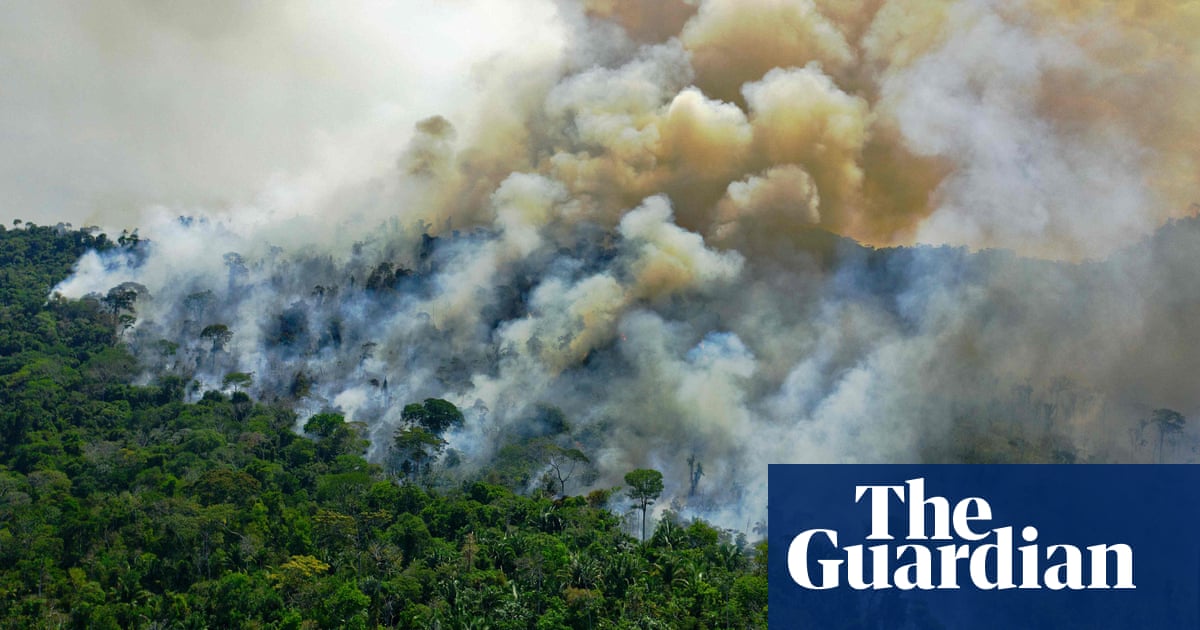 The Climate Crisis: The Amazon Rainforest no longer a net carbon sink