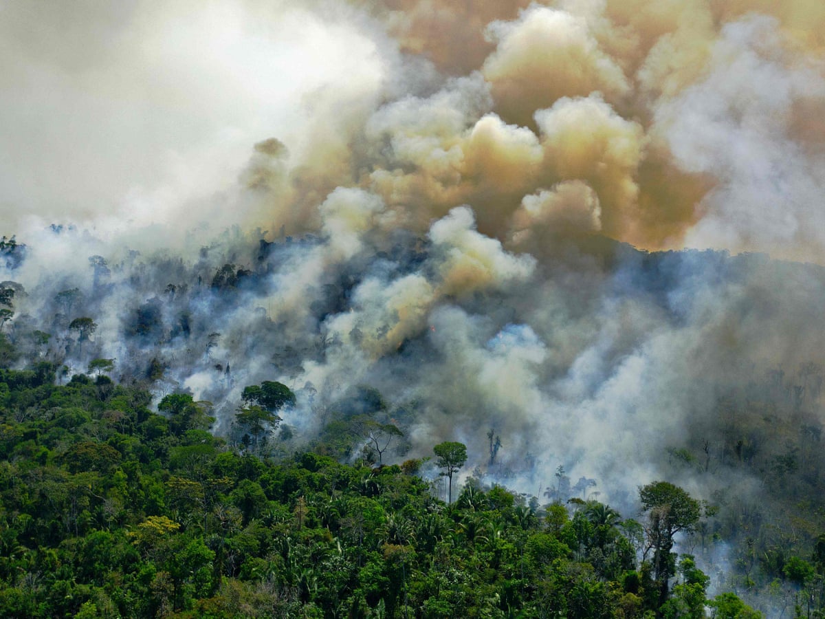 Amazon Rainforest Now Emitting More Co2 Than It Absorbs Amazon Rainforest The Guardian