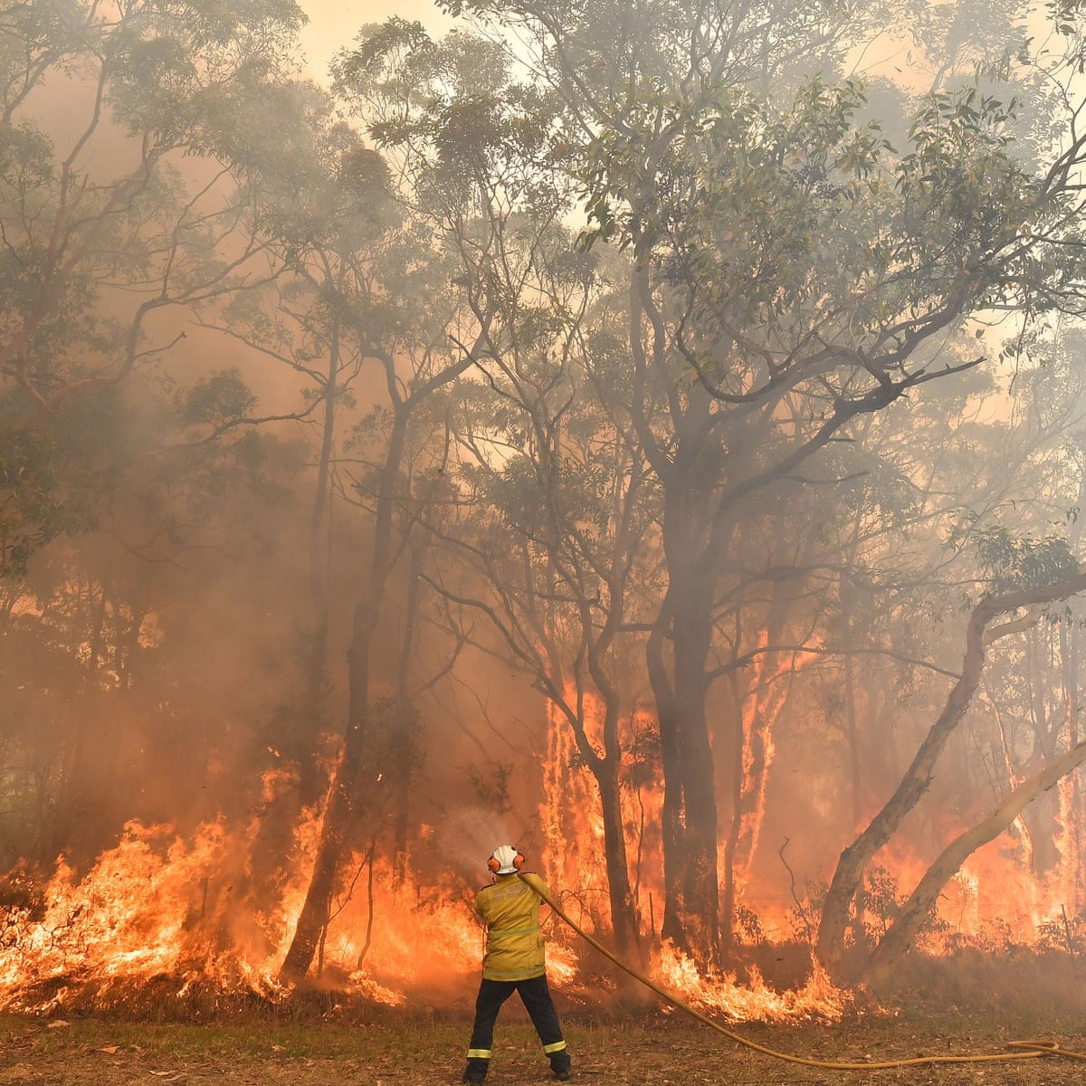Australia S Bushfire Crisis How Long Are The Fires And Smoke Expected To Last Bushfires The Guardian Australia S Bushfire Crisis How Long Are The Fires And Smoke Expected To Last Bushfires The Guardian