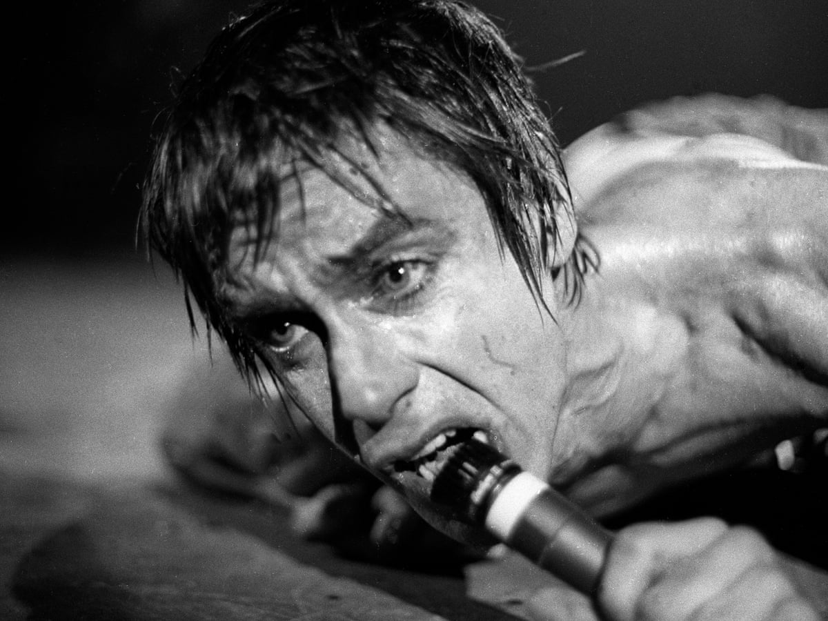 Iggy Pop 10 Of The Best Iggy Pop The Guardian Iggy Pop 10 Of The Best Iggy Pop The Guardian