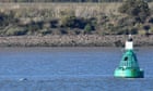 The lonely Thames beluga whale is an anomaly - and an omen | Philip Hoare
