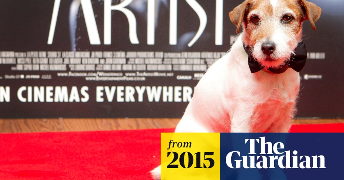 uggie the dog star of the artist dies aged 13 the artist the guardian