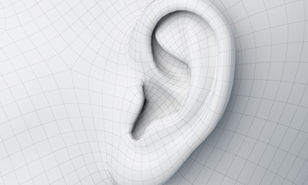 Ear illustration