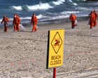 Secret report shows likely source of ‘poo balls’ that closed Sydney’s beaches last summer