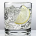 A glass of gin and tonic, ice and lemon